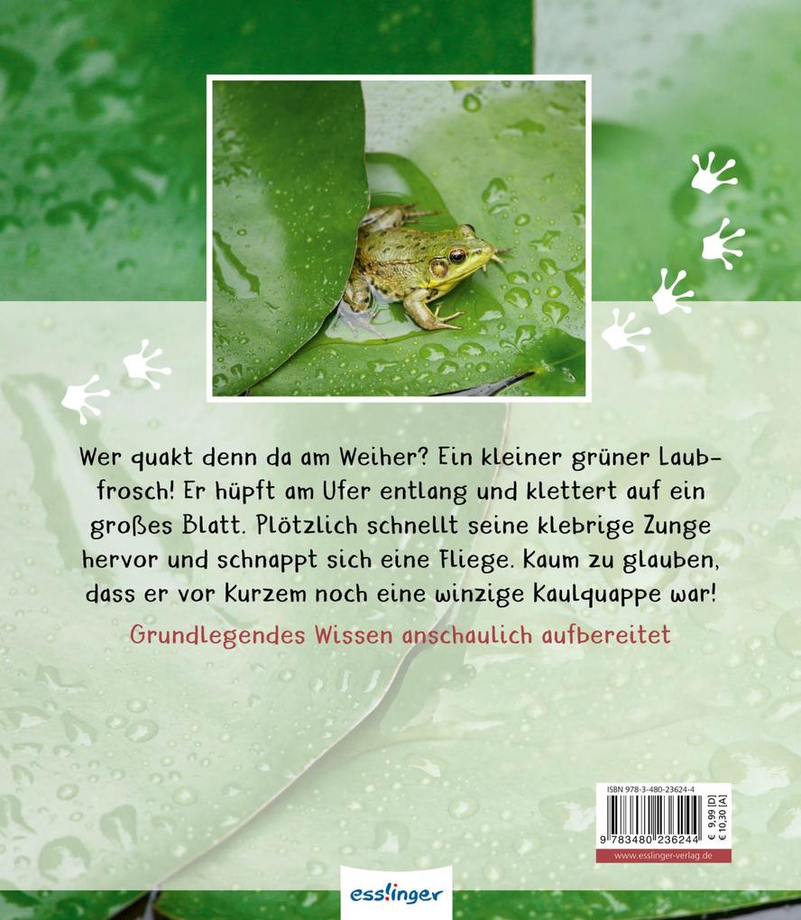 Weitere Ansicht: Meine große Tierbibliothek: Der Frosch | Paul Starosta