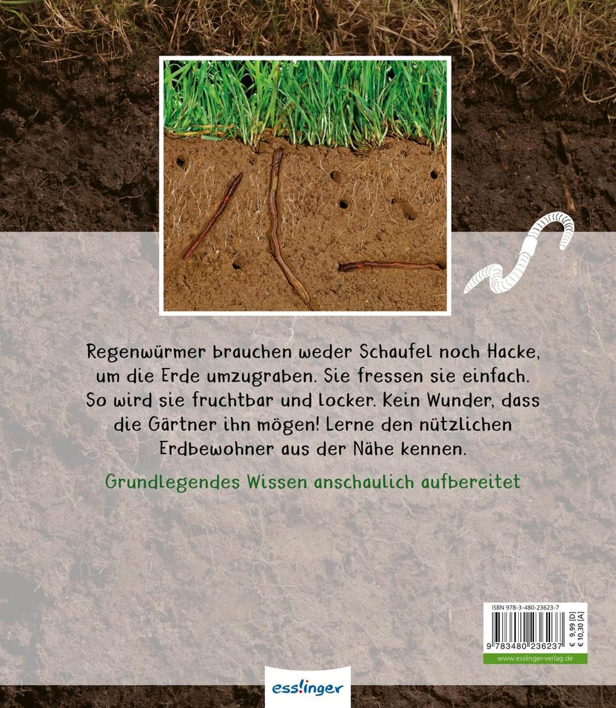 Weitere Ansicht: Meine große Tierbibliothek: Der Regenwurm | Valérie Tracqui