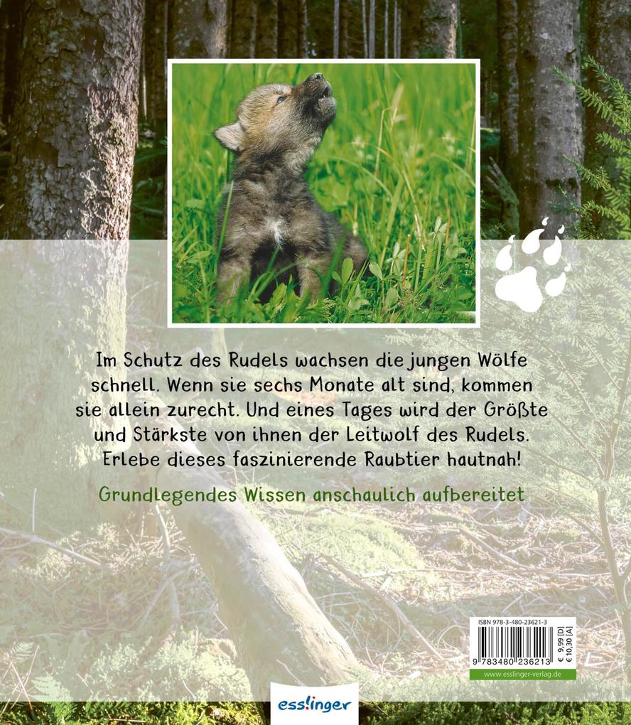 Weitere Ansicht: Meine große Tierbibliothek: Der Wolf | Christian Havard