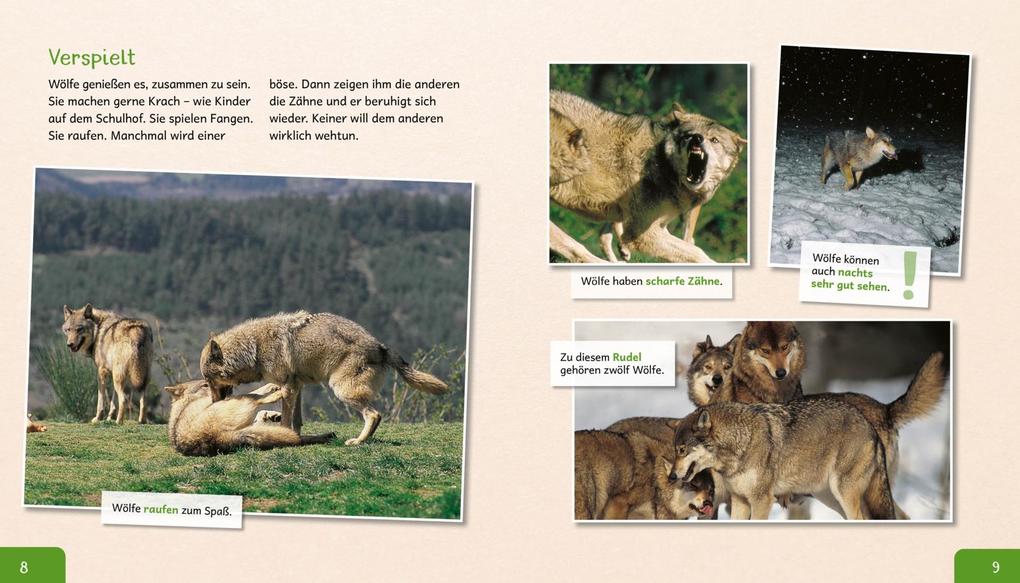 Weitere Ansicht: Meine große Tierbibliothek: Der Wolf | Christian Havard