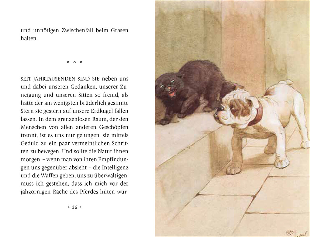 Weitere Ansicht: Mein Hund | Maurice Maeterlinck