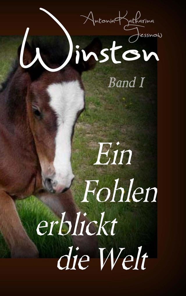 Produktbild: Winston - Ein Fohlen erblickt die Welt | Antonia Katharina Tessnow