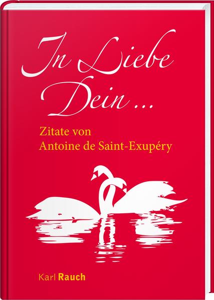Produktbild: In Liebe Dein | Antoine de Saint-Exupéry