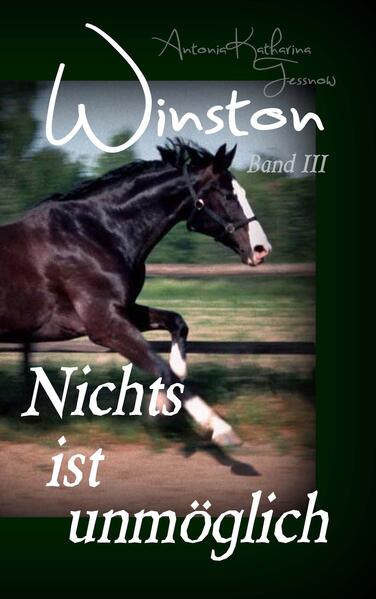 Produktbild: Winston - Nichts ist unmöglich | Antonia Katharina Tessnow