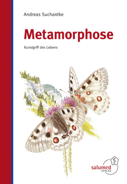 Produktbild: Metamorphose | Andreas Suchantke