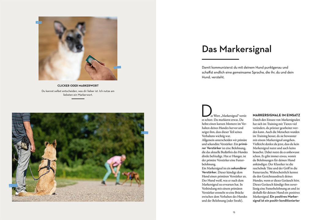 Weitere Ansicht: Marker-Training für Hunde | Ulrike Seumel
