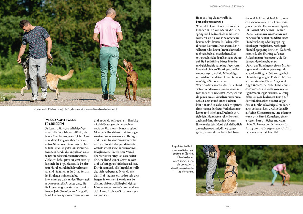 Weitere Ansicht: Marker-Training für Hunde | Ulrike Seumel