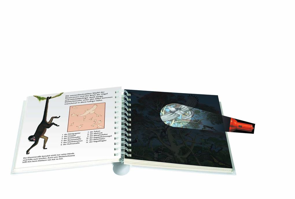 Weitere Ansicht: Leben im Dschungel