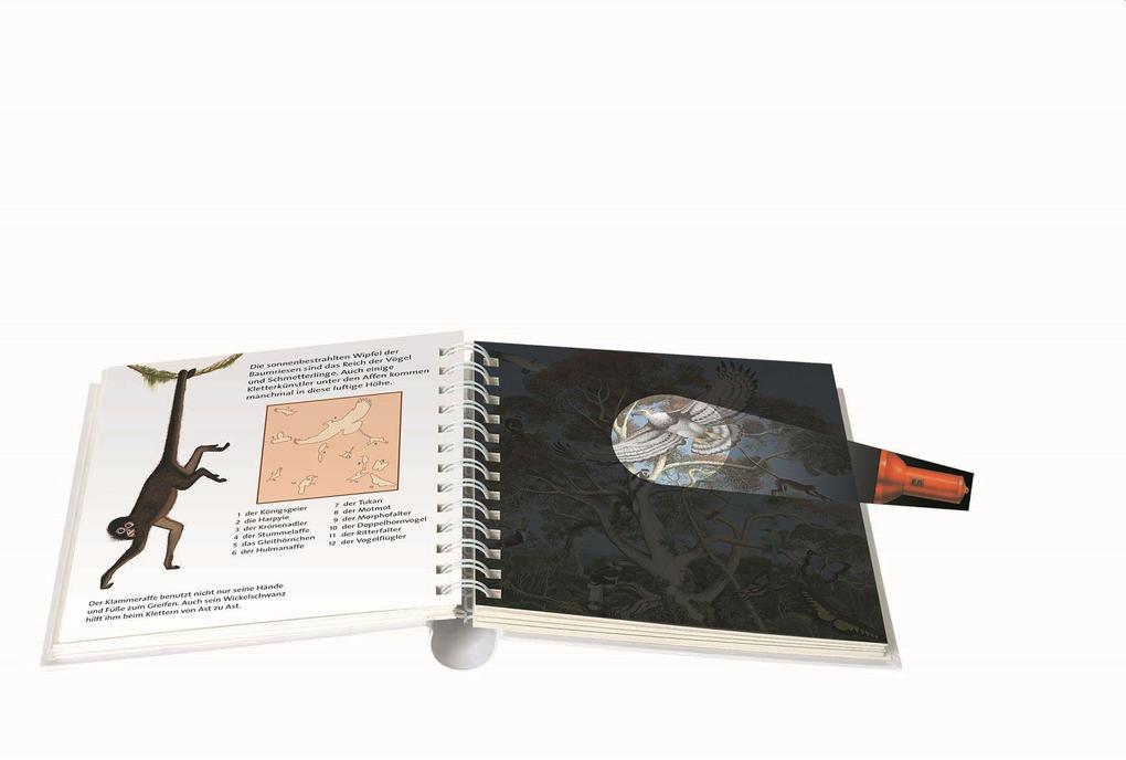 Weitere Ansicht: Leben im Dschungel