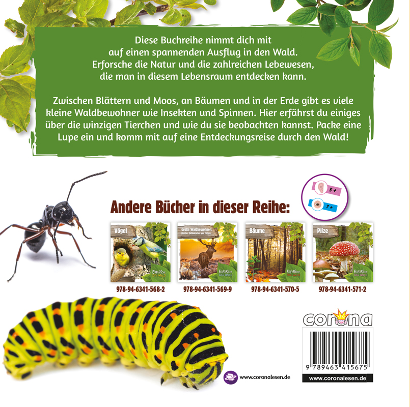 Weitere Ansicht: Kleine Waldbewohner: Insekten, Würmer und Schnecken | Robin Twiddy