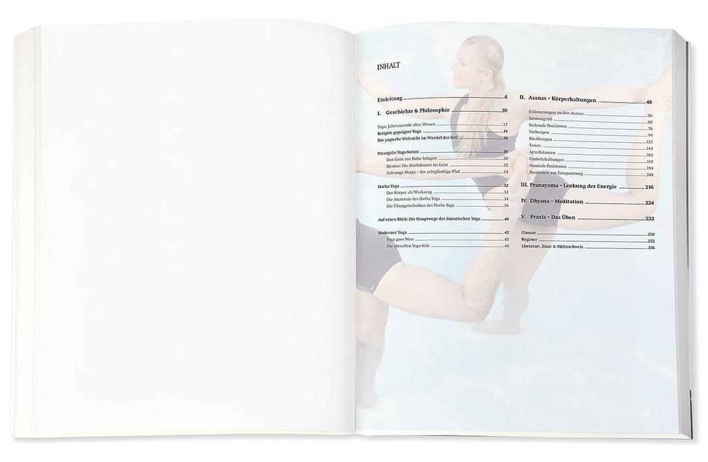 Weitere Ansicht: Yoga - Das große Praxisbuch für Einsteiger & Fortgeschrittene | Inge Schöps