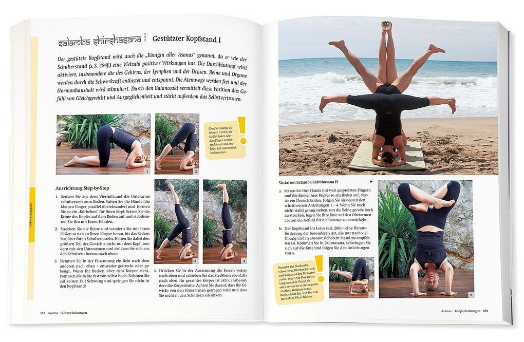 Weitere Ansicht: Yoga - Das große Praxisbuch für Einsteiger & Fortgeschrittene | Inge Schöps
