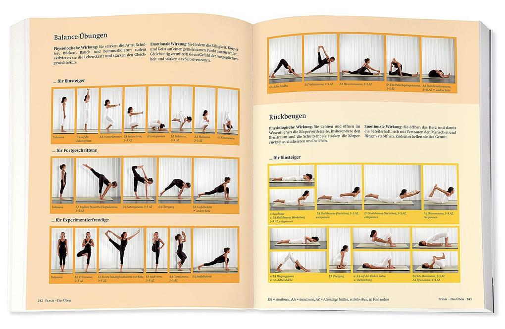 Weitere Ansicht: Yoga - Das große Praxisbuch für Einsteiger & Fortgeschrittene | Inge Schöps