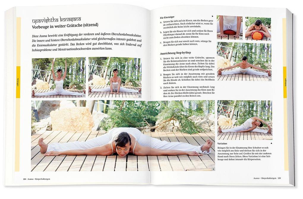Weitere Ansicht: Yoga - Das große Praxisbuch für Einsteiger & Fortgeschrittene | Inge Schöps