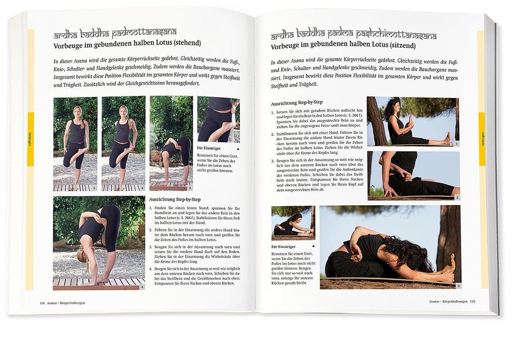 Weitere Ansicht: Yoga - Das große Praxisbuch für Einsteiger & Fortgeschrittene | Inge Schöps
