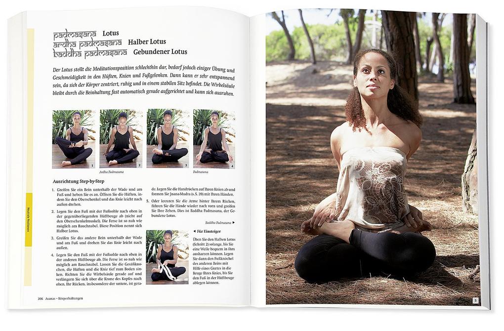 Weitere Ansicht: Yoga - Das große Praxisbuch für Einsteiger & Fortgeschrittene | Inge Schöps