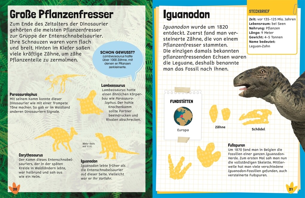 Weitere Ansicht: Sticker-Lexikon. Dinosaurier