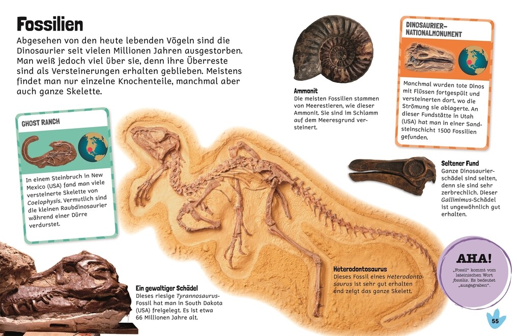 Weitere Ansicht: Sticker-Lexikon. Dinosaurier