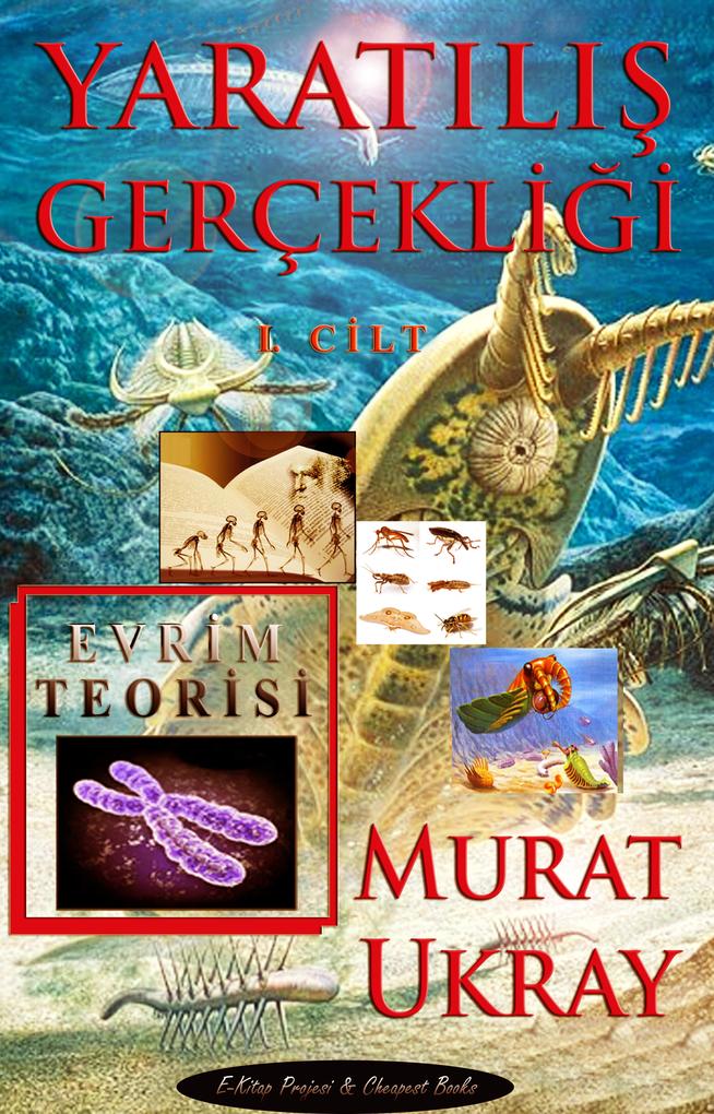 Produktbild: Yaratilis Gerçekligi-I | Murat Ukray
