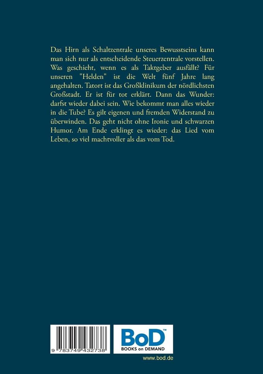Weitere Ansicht: Spiel mir das Lied vom Leben | Bodo Pipping