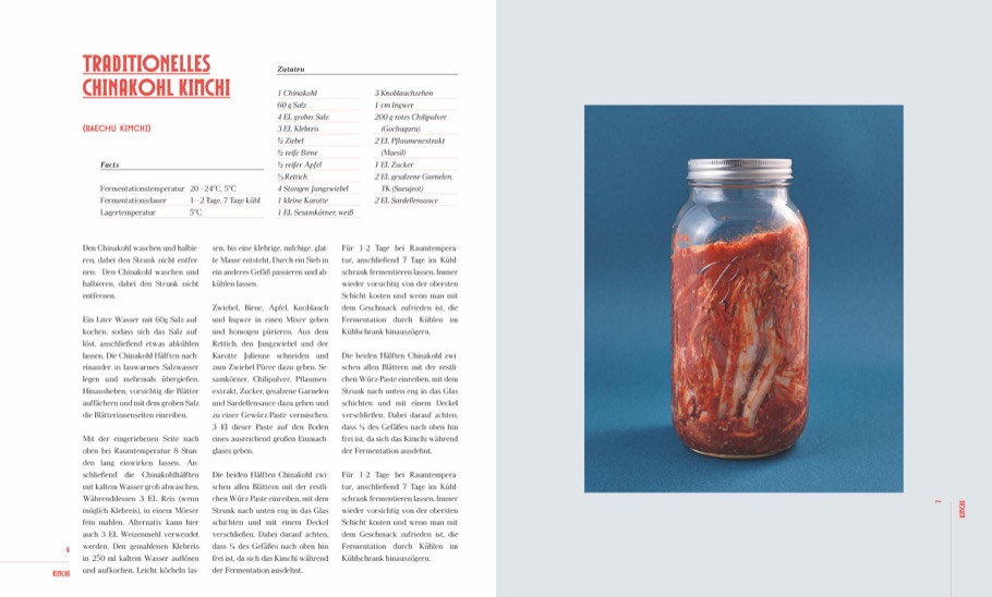 Weitere Ansicht: Das große Buch der Fermentation | Antonia Kögl