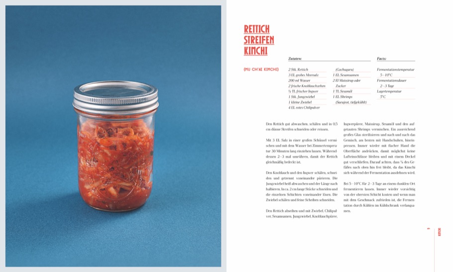 Weitere Ansicht: Das große Buch der Fermentation | Antonia Kögl