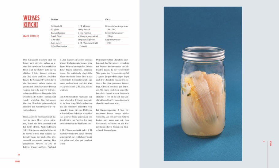 Weitere Ansicht: Das große Buch der Fermentation | Antonia Kögl