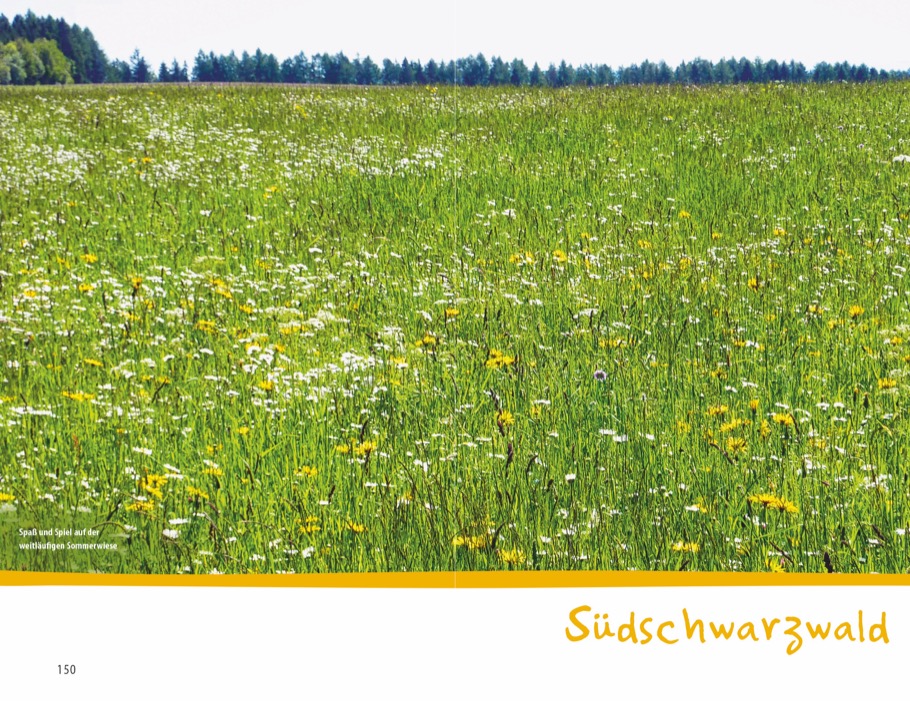 Weitere Ansicht: Wanderspaß mit Kindern - Schwarzwald | Antje Bayer