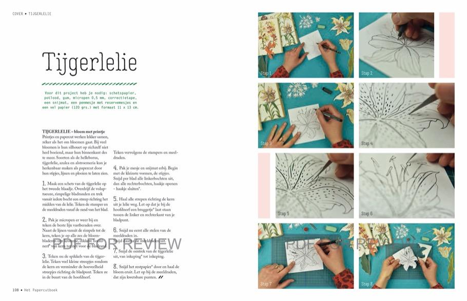 Weitere Ansicht: Papercut | Geertje Aalders