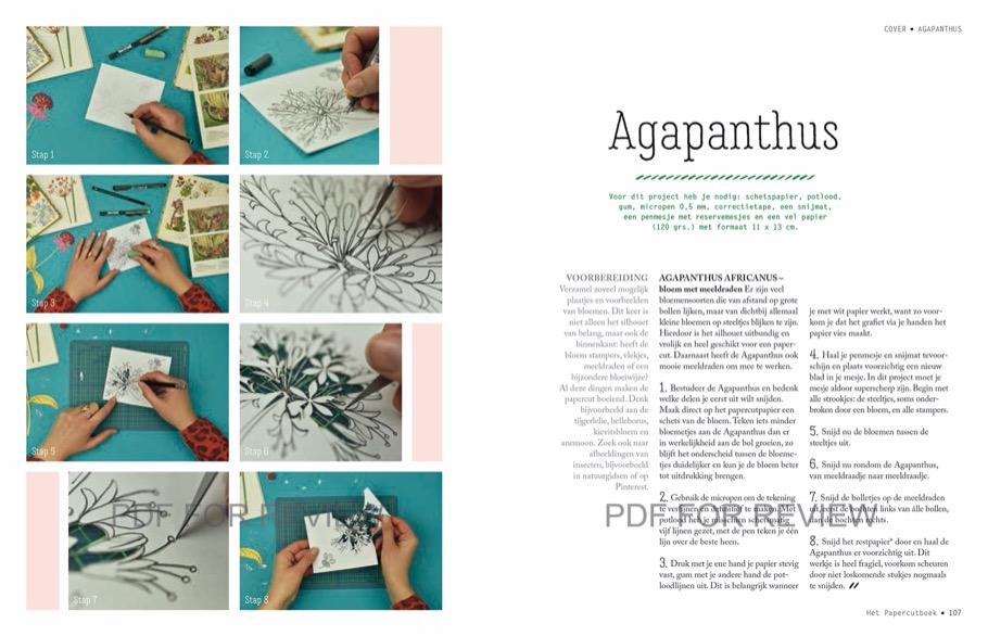 Weitere Ansicht: Papercut | Geertje Aalders