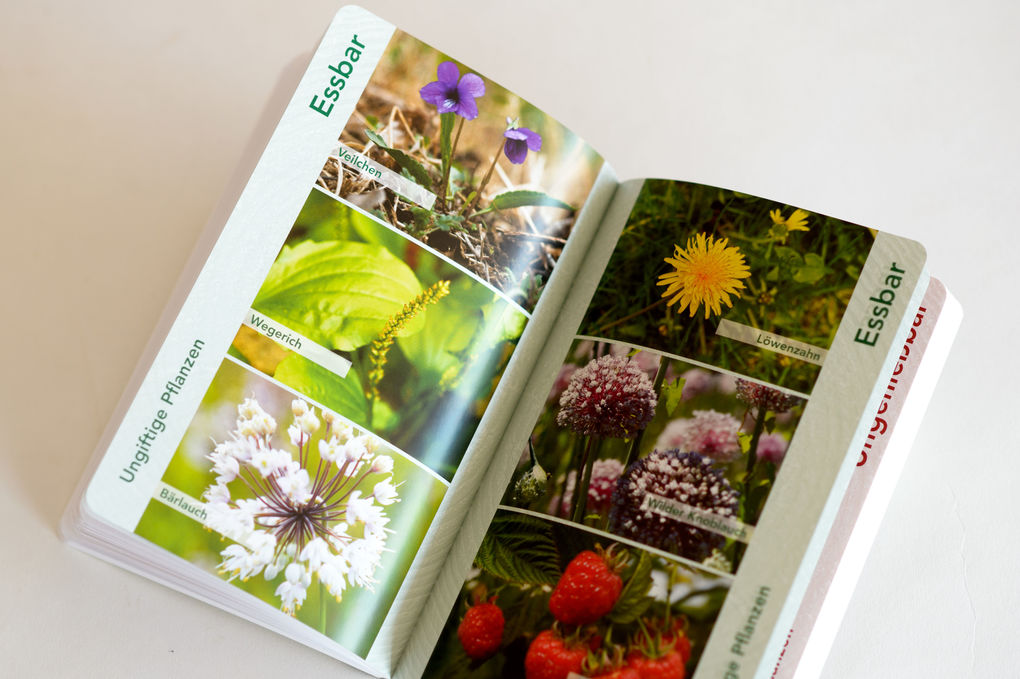 Weitere Ansicht: Bushcraft. Jagen, Sammeln, Kochen in der Wildnis | Dave Canterbury