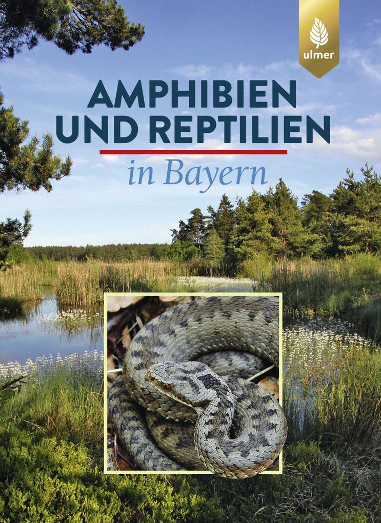 Produktbild: Amphibien und Reptilien in Bayern | Otto Aßmann, Andreas Zahn, Thomas Dürst, Eberhard Andrä, Günter Hansbauer