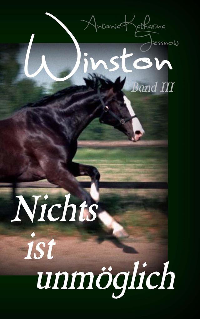 Produktbild: Winston - Nichts ist unmöglich | Antonia Katharina Tessnow