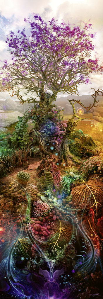 Weitere Ansicht: Magnesium Tree | Andy Thomas