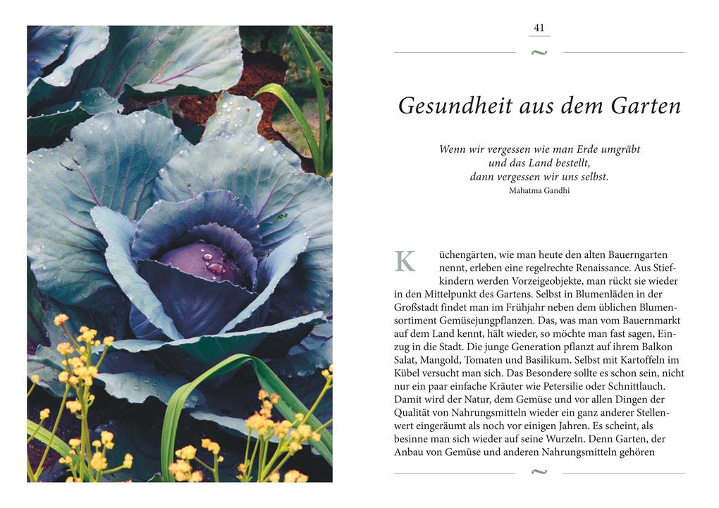 Weitere Ansicht: Glück kann man pflanzen | Katrin Schumann