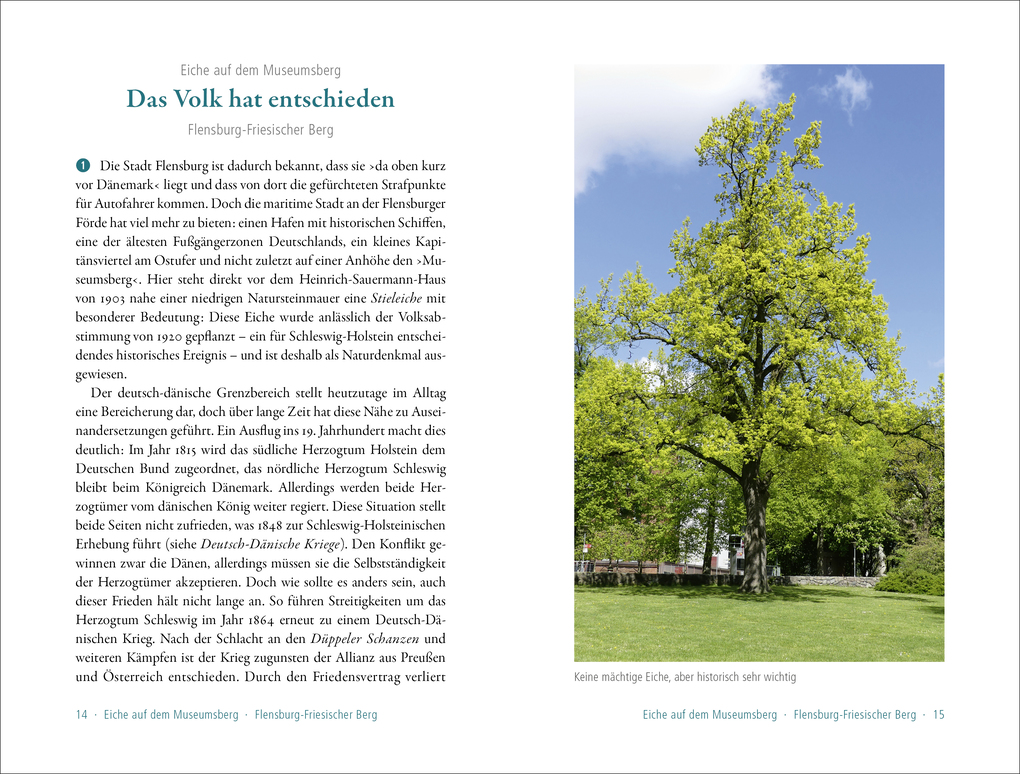 Weitere Ansicht: 50 sagenhafte Naturdenkmale in Schleswig-Holstein | Ulrike Schröder