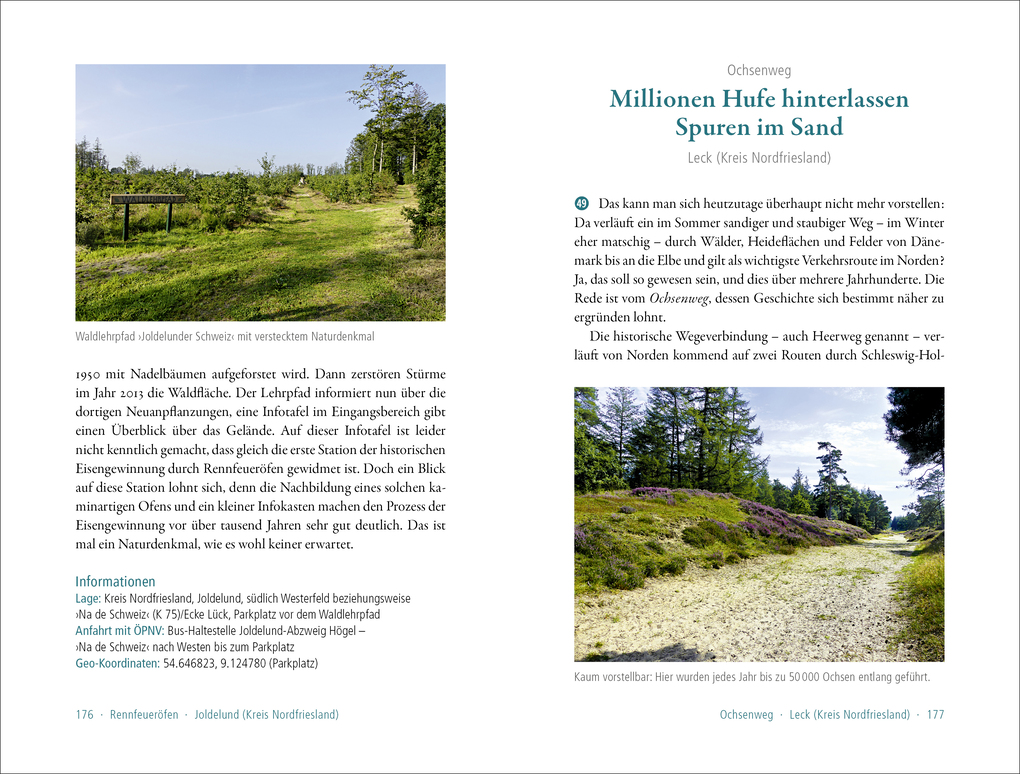 Weitere Ansicht: 50 sagenhafte Naturdenkmale in Schleswig-Holstein | Ulrike Schröder