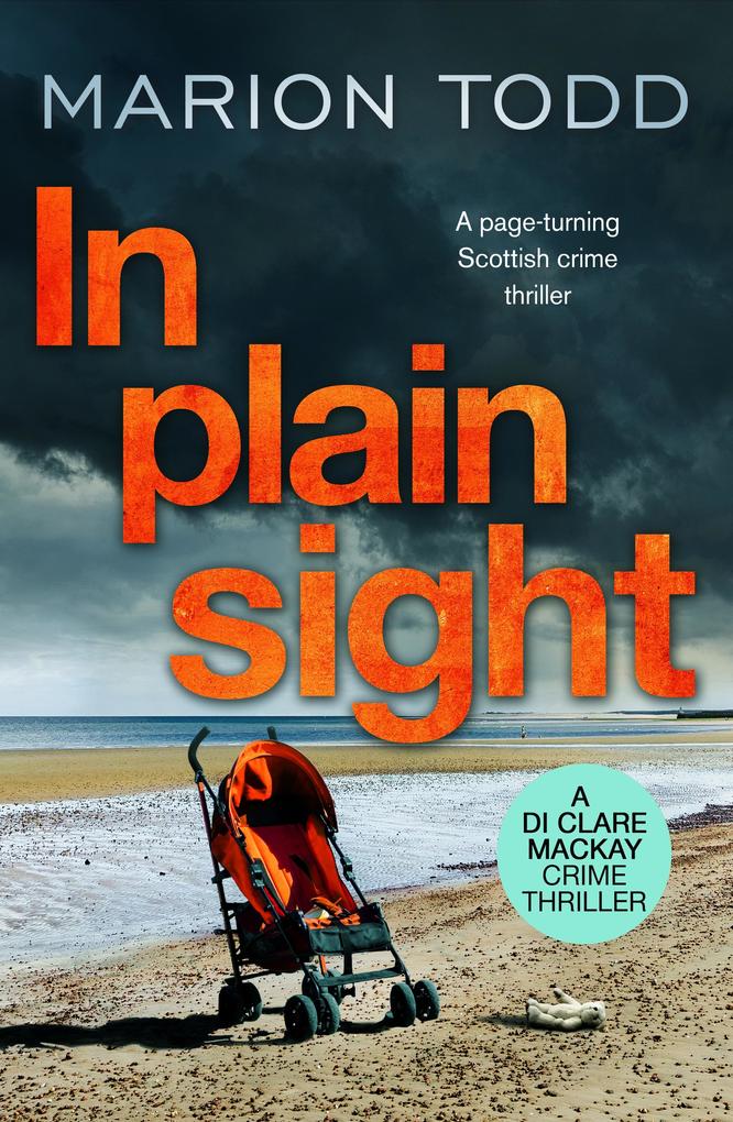 Produktbild: In Plain Sight | Marion Todd