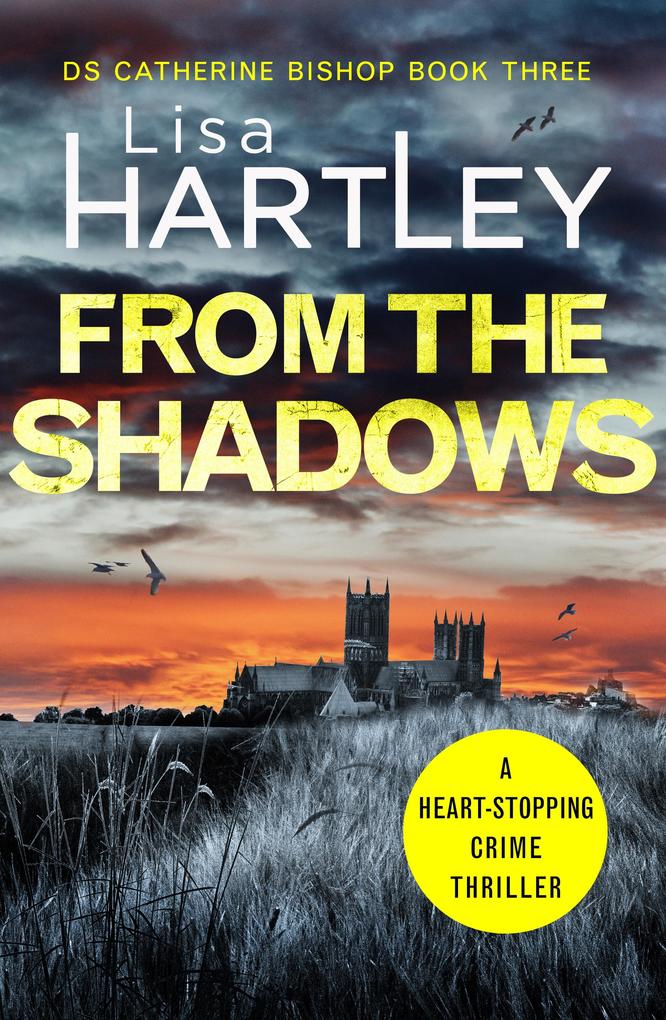 Produktbild: From the Shadows | Lisa Hartley