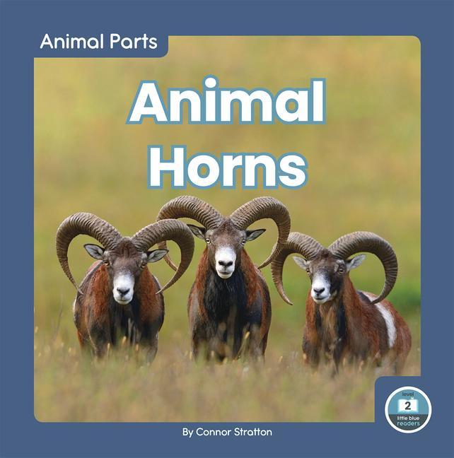 Produktbild: Animal Horns | Connor Stratton