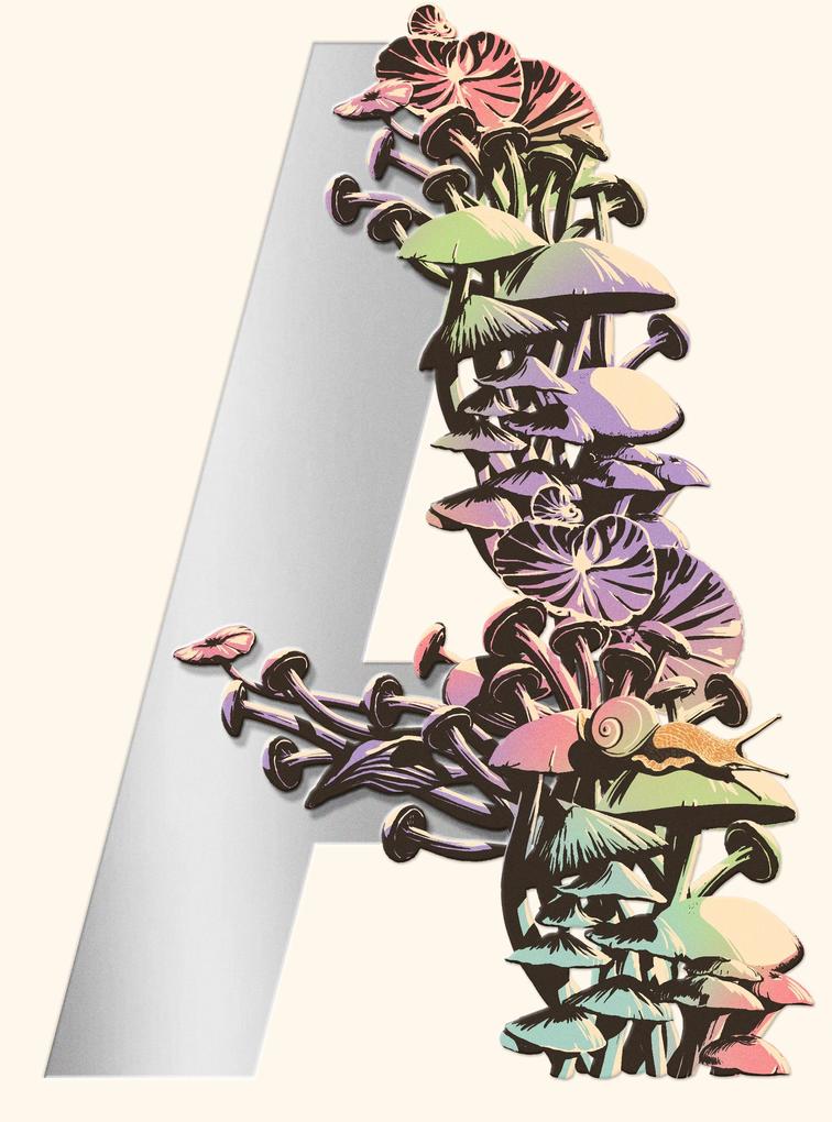 Produktbild: Ambergris | Jeff VanderMeer