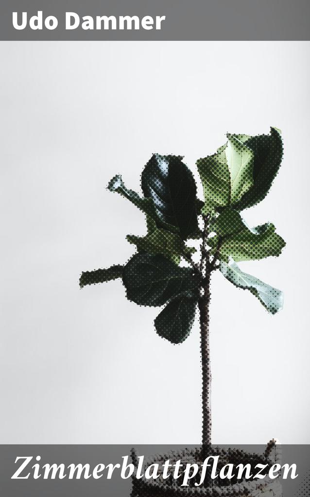 Produktbild: Zimmerblattpflanzen | Udo Dammer
