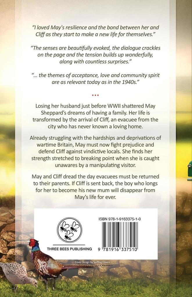 Weitere Ansicht: May's Boys | Beryl P. Brown