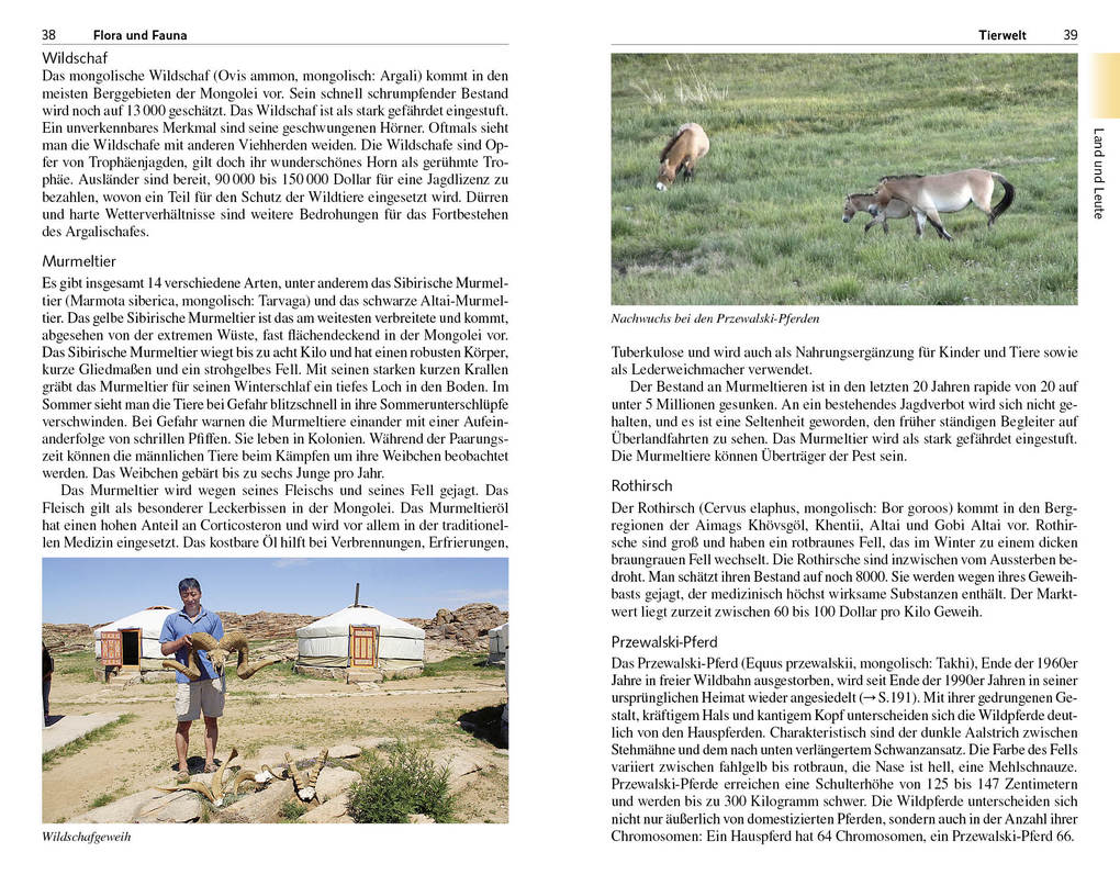 Weitere Ansicht: TRESCHER Reiseführer Mongolei | Marion Wisotzki, Erna Käppeli, Ernst von Waldenfels