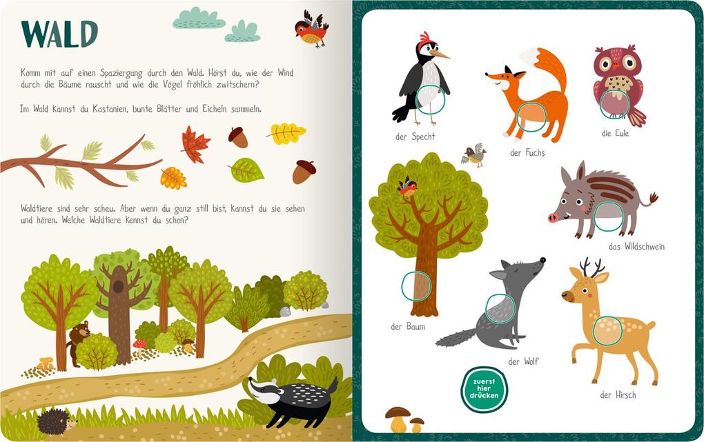 Weitere Ansicht: Mein sprechendes Soundbuch - Erste Wörter | Lucca Züchner