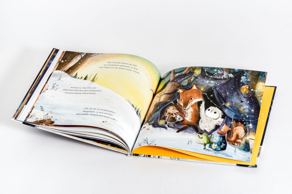 Weitere Ansicht: Ella und der Funkelzauber | Lucy Fleming