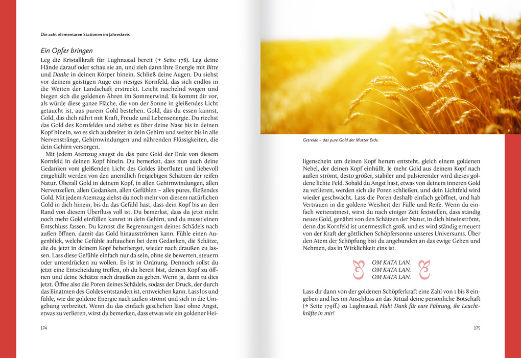 Weitere Ansicht: Rituale im Jahreskreis. Harmonisierung und Selbstheilung im Rhythmus der Natur | Roswitha Stark