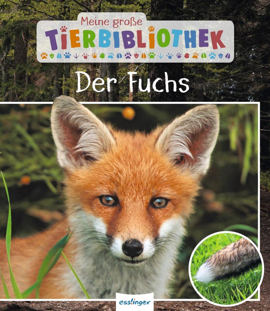 Produktbild: Meine große Tierbibliothek: Der Fuchs | Christian Havard