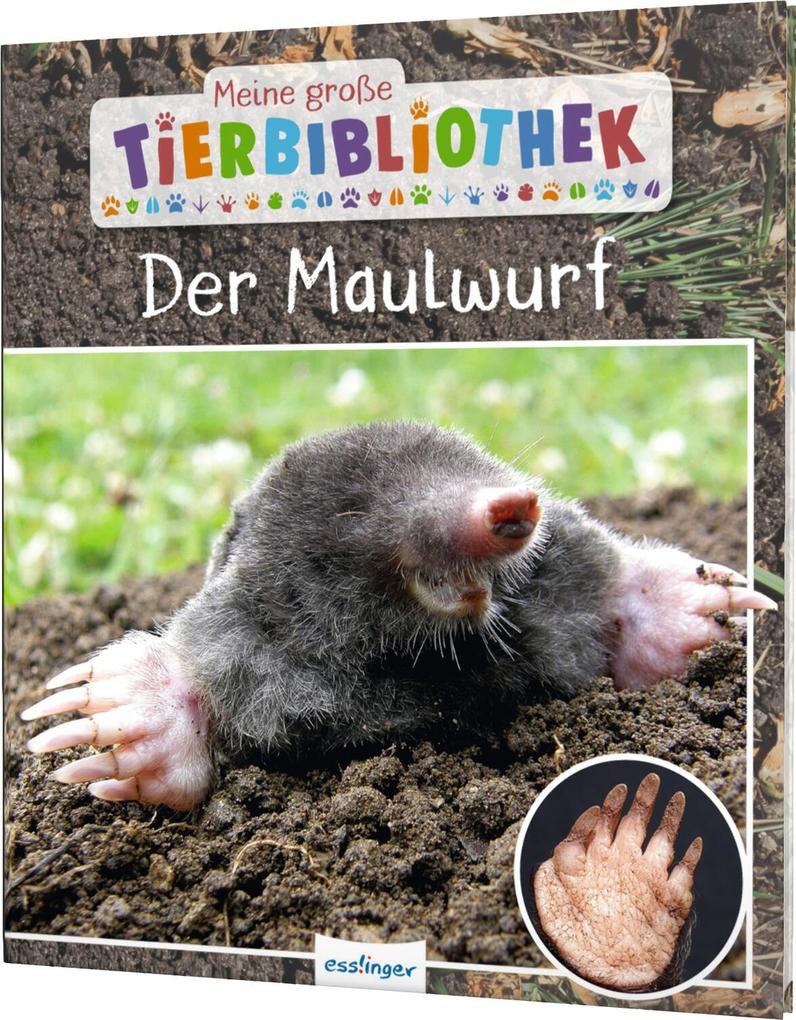 Produktbild: Meine große Tierbibliothek: Der Maulwurf | Jens Poschadel
