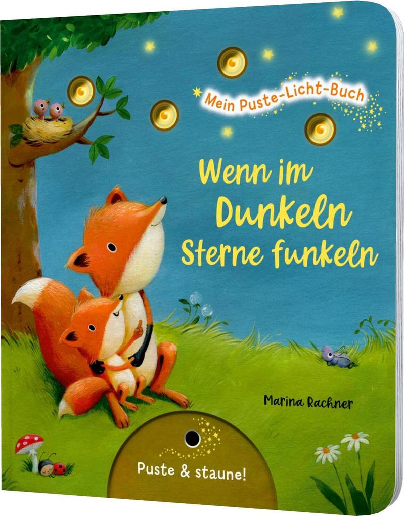 Produktbild: Mein Puste-Licht-Buch: Wenn im Dunkeln Sterne funkeln | Christina Nömer